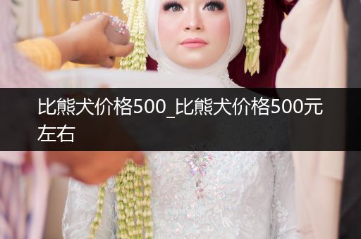 比熊犬價(jià)格500_比熊犬價(jià)格500元左右