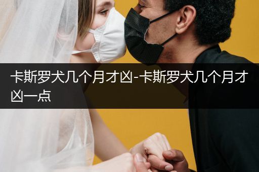 卡斯羅犬幾個月才兇-卡斯羅犬幾個月才兇一點(diǎn)