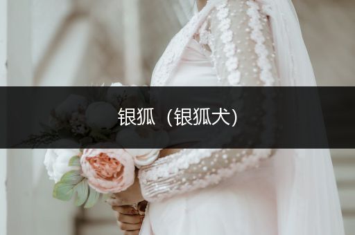 銀狐（銀狐犬）