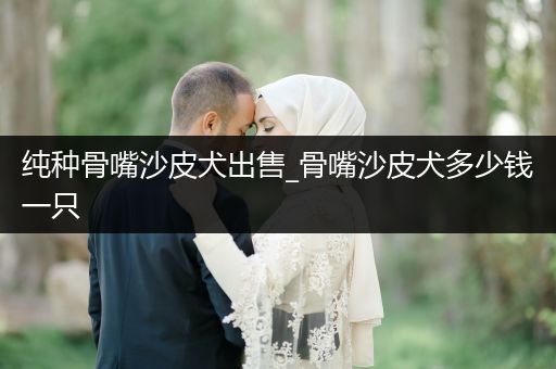 純種骨嘴沙皮犬出售_骨嘴沙皮犬多少錢一只