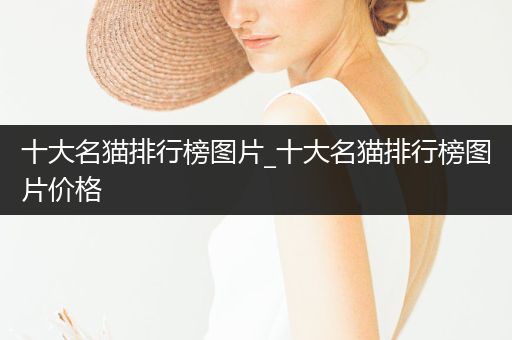 十大名貓排行榜圖片_十大名貓排行榜圖片價(jià)格