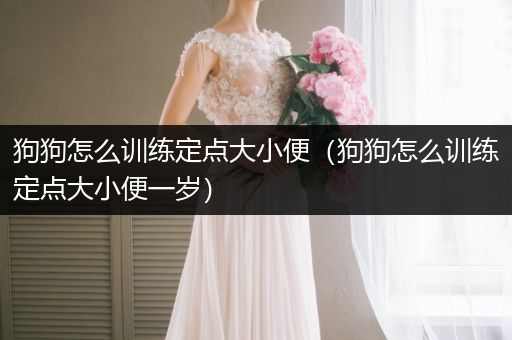 狗狗怎么訓(xùn)練定點(diǎn)大小便（狗狗怎么訓(xùn)練定點(diǎn)大小便一歲）