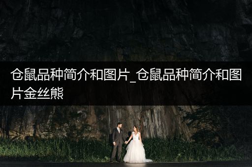 倉(cāng)鼠品種簡(jiǎn)介和圖片_倉(cāng)鼠品種簡(jiǎn)介和圖片金絲熊