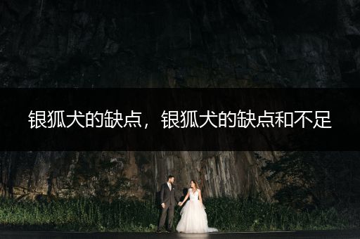 銀狐犬的缺點，銀狐犬的缺點和不足