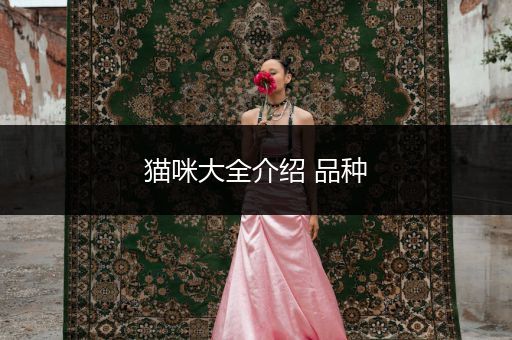 貓咪大全介紹 品種