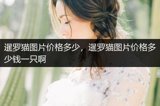 暹羅貓圖片價(jià)格多少，暹羅貓圖片價(jià)格多少錢一只啊