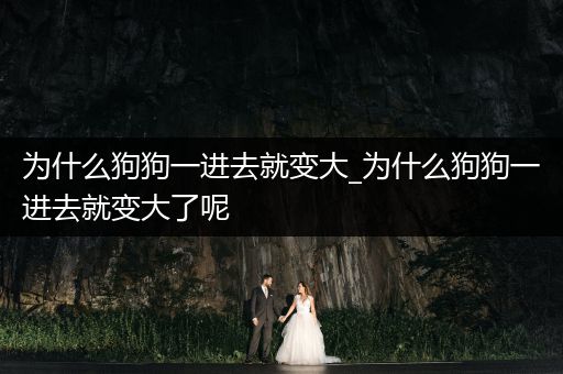 為什么狗狗一進去就變大_為什么狗狗一進去就變大了呢