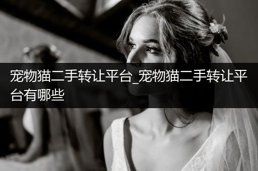 寵物貓二手轉(zhuǎn)讓平臺_寵物貓二手轉(zhuǎn)讓平臺有哪些