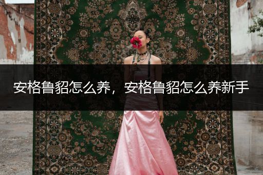 安格魯貂怎么養(yǎng)，安格魯貂怎么養(yǎng)新手