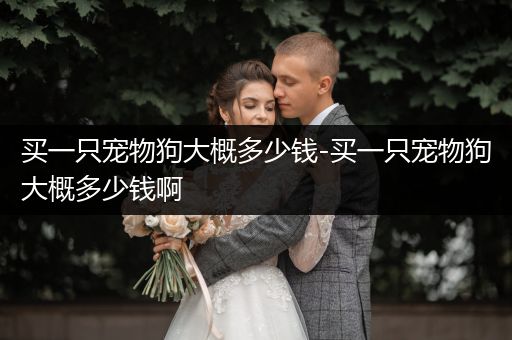 買一只寵物狗大概多少錢-買一只寵物狗大概多少錢啊