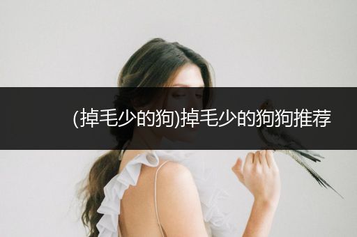 （掉毛少的狗)掉毛少的狗狗推薦