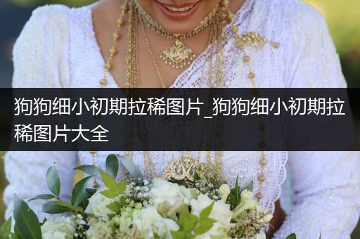 狗狗細(xì)小初期拉稀圖片_狗狗細(xì)小初期拉稀圖片大全