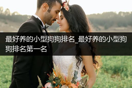 最好養(yǎng)的小型狗狗排名_最好養(yǎng)的小型狗狗排名第一名