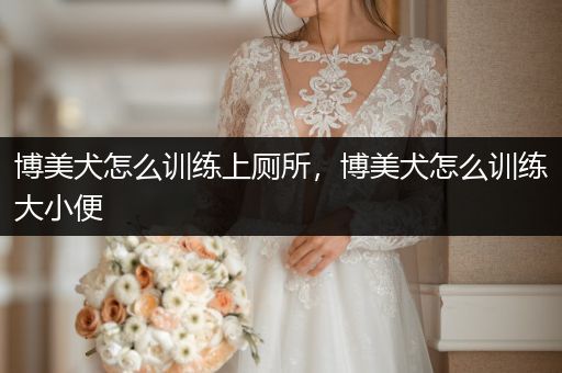 博美犬怎么訓練上廁所，博美犬怎么訓練大小便