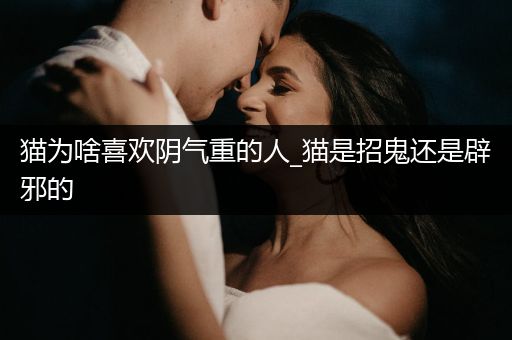 貓為啥喜歡陰氣重的人_貓是招鬼還是辟邪的