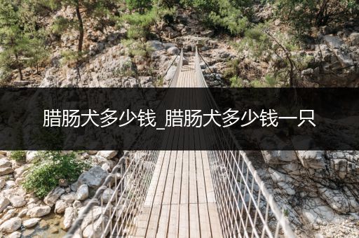 臘腸犬多少錢_臘腸犬多少錢一只