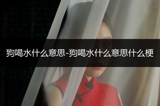 狗喝水什么意思-狗喝水什么意思什么梗
