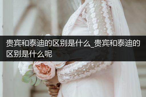 貴賓和泰迪的區(qū)別是什么_貴賓和泰迪的區(qū)別是什么呢