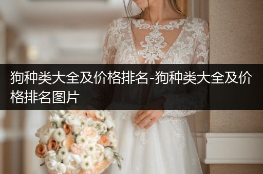 狗種類大全及價格排名-狗種類大全及價格排名圖片