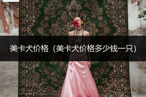 美卡犬價(jià)格（美卡犬價(jià)格多少錢一只）