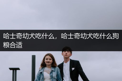 哈士奇幼犬吃什么，哈士奇幼犬吃什么狗糧合適