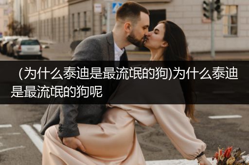 （為什么泰迪是最流氓的狗)為什么泰迪是最流氓的狗呢