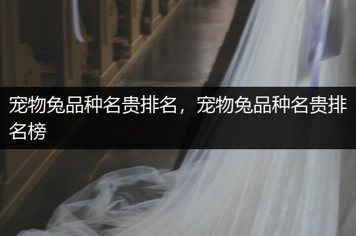 寵物兔品種名貴排名，寵物兔品種名貴排名榜