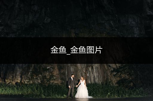 金魚(yú)_金魚(yú)圖片