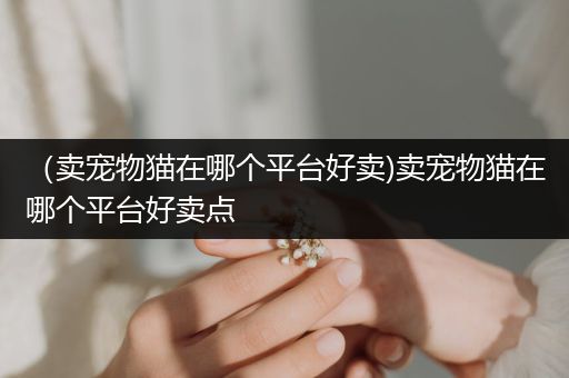 （賣寵物貓在哪個平臺好賣)賣寵物貓在哪個平臺好賣點
