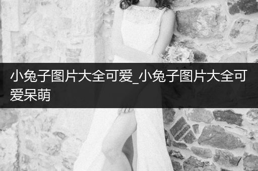 小兔子圖片大全可愛_小兔子圖片大全可愛呆萌