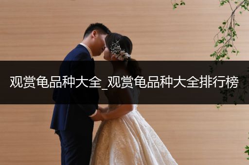 觀賞龜品種大全_觀賞龜品種大全排行榜