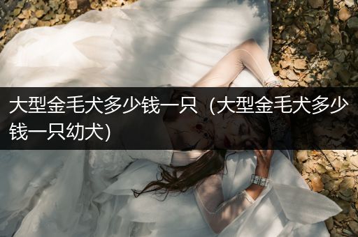 大型金毛犬多少錢一只（大型金毛犬多少錢一只幼犬）