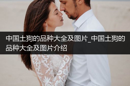 中國土狗的品種大全及圖片_中國土狗的品種大全及圖片介紹