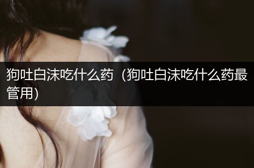 狗吐白沫吃什么藥(狗吐白沫吃什么藥最管用)