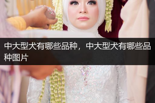 中大型犬有哪些品種，中大型犬有哪些品種圖片