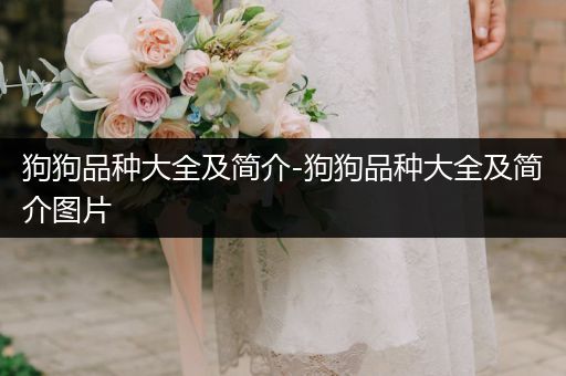 狗狗品種大全及簡介-狗狗品種大全及簡介圖片