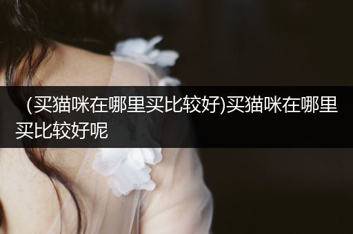 (買貓咪在哪里買比較好)買貓咪在哪里買比較好呢