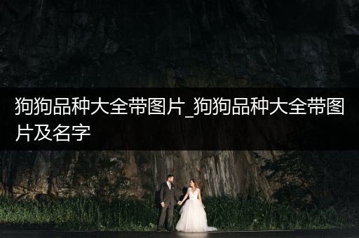 狗狗品種大全帶圖片_狗狗品種大全帶圖片及名字
