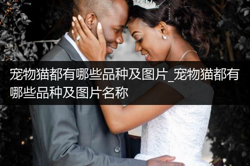 寵物貓都有哪些品種及圖片_寵物貓都有哪些品種及圖片名稱