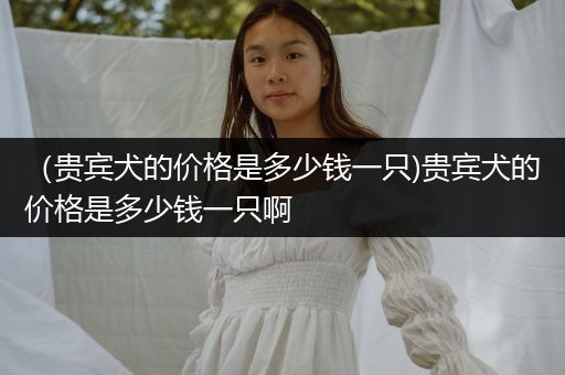 (貴賓犬的價(jià)格是多少錢一只)貴賓犬的價(jià)格是多少錢一只啊