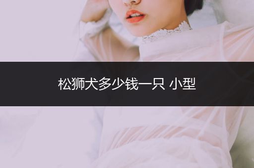 松獅犬多少錢一只 小型