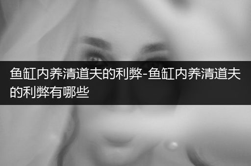 魚缸內(nèi)養(yǎng)清道夫的利弊-魚缸內(nèi)養(yǎng)清道夫的利弊有哪些