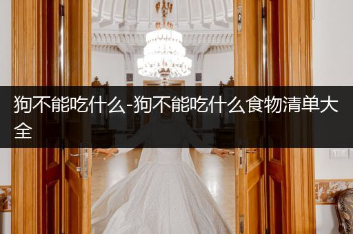 狗不能吃什么-狗不能吃什么食物清單大全