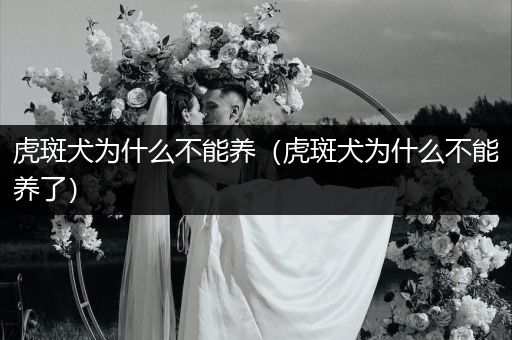 虎斑犬為什么不能養(yǎng)（虎斑犬為什么不能養(yǎng)了）