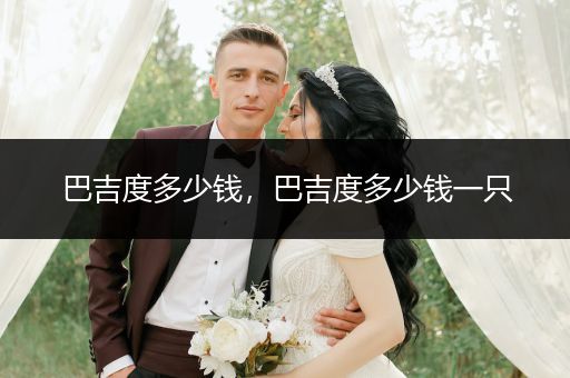 巴吉度多少錢，巴吉度多少錢一只