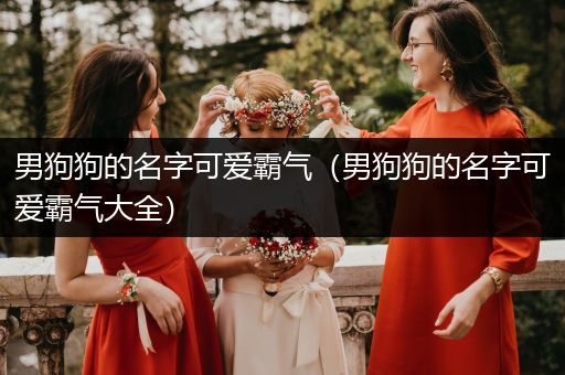 男狗狗的名字可愛霸氣（男狗狗的名字可愛霸氣大全）