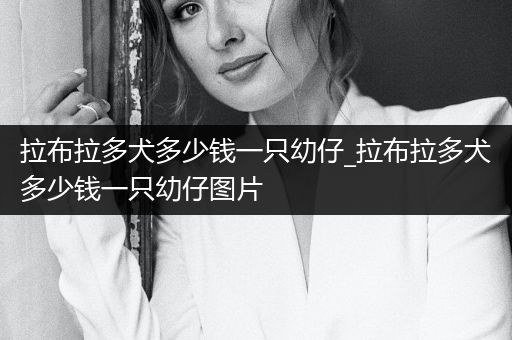 拉布拉多犬多少錢(qián)一只幼仔_拉布拉多犬多少錢(qián)一只幼仔圖片