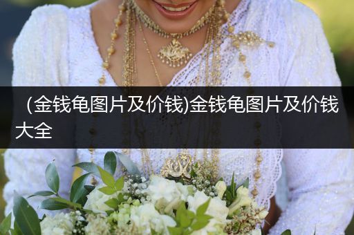 （金錢龜圖片及價(jià)錢)金錢龜圖片及價(jià)錢大全