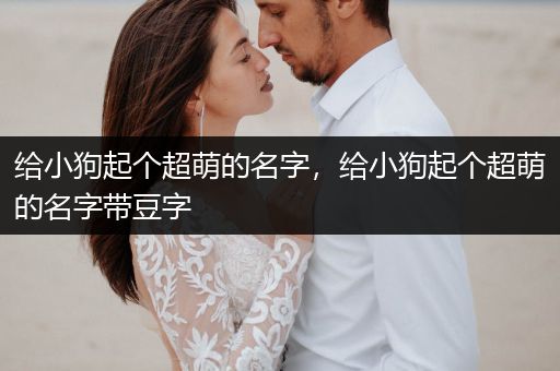 給小狗起個超萌的名字，給小狗起個超萌的名字帶豆字