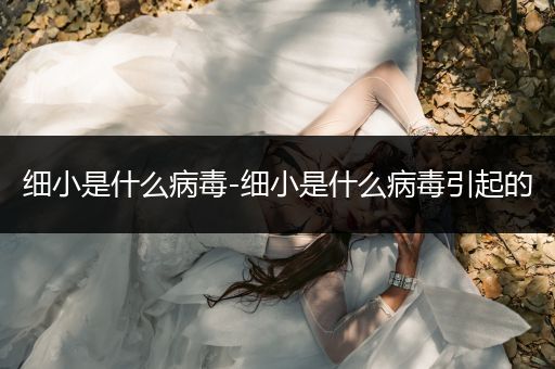 細小是什么病毒-細小是什么病毒引起的
